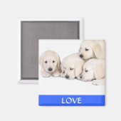 Love Yellow Labrador Retreiver Puppies Magnet (Voorkant / Achterkant)