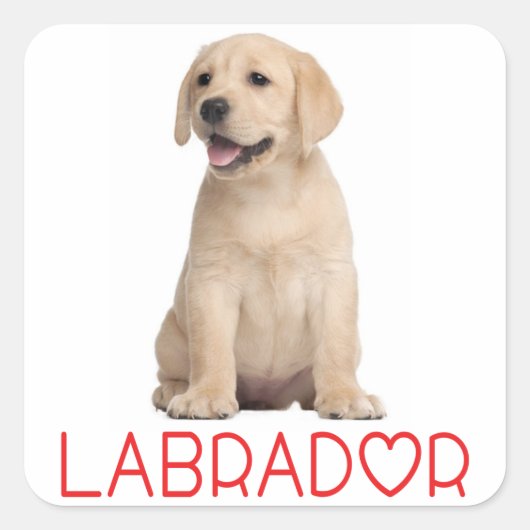 Love Yellow Labrador Retriever Puppy Dog Stickers (Voorkant)