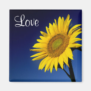 Love Yellow Sunflower with Blue Sky Magnet