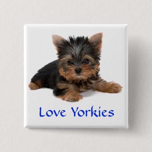 Love Yorkies Puppy Button Pin (Voorkant)