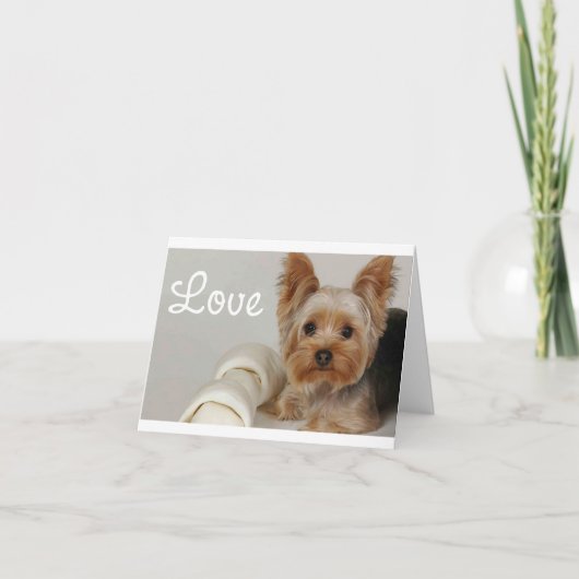 Love Yorkshire Terrier Puppy Dog Blank Card Kaart (Voorkant)
