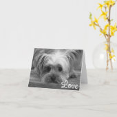 Love Yorkshire Terrier Puppy Dog Blank Kaart (Gele Bloem)