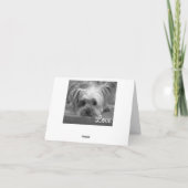 Love Yorkshire Terrier Puppy Dog Blank Kaart (Achterkant)