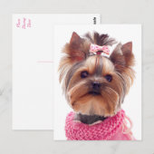 Love Yorkshire Terrier Puppy Dog Blank Post Card Briefkaart (Voorkant / Achterkant)