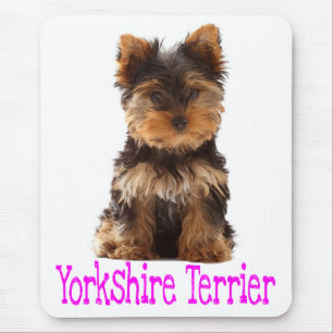 Love Yorkshire Terrier Puppymuismat Muismat