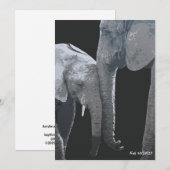 Love You More, Olifant Originele Kunst Kaart (Voorkant / Achterkant)