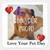 Love Your Pet Day Vierkante Sticker (Voorkant)