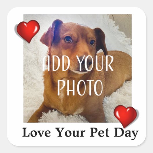 Love Your Pet Day Vierkante Sticker (Voorkant)