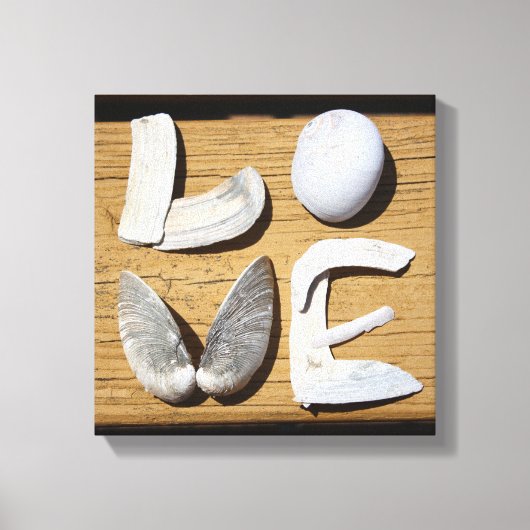 LOVE Zee Shell Canvas Print (Voorkant)