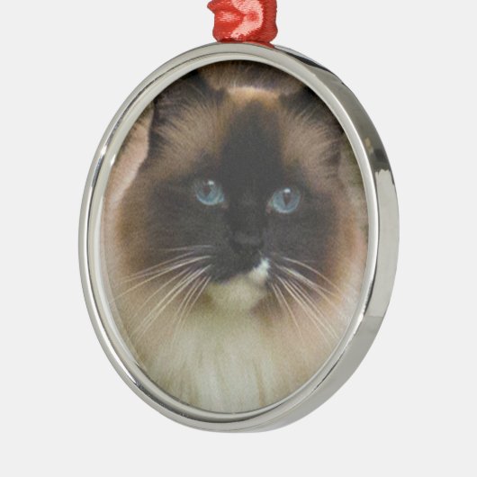 Loveable Ragdoll Cat Ornament (Links)