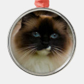 Loveable Ragdoll Cat Ornament (Voorkant)