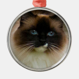 Loveable Ragdoll Cat Ornament
