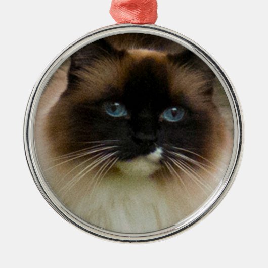 Loveable Ragdoll Cat Ornament (Voorkant)