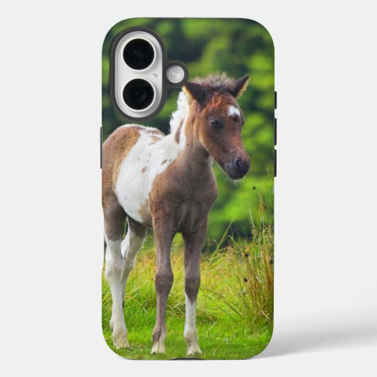 Loveable Standing Dartmoor Pony Foal Case-Mate iPhone Case (Achterkant)