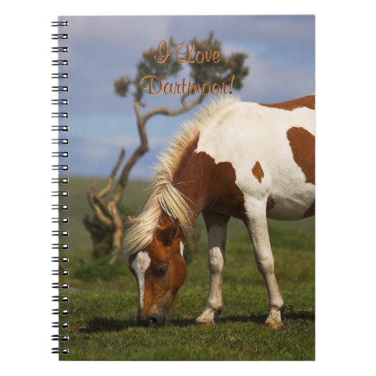 Loveable Wild Pony op Dartmoor Notitieboek (Voorkant)