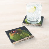 Lovebird Kus Glas Onderzetter (Schuin)