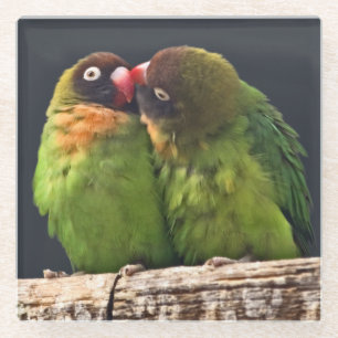 Lovebird Kus Glas Onderzetter