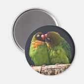 Lovebird Kus Magner Magneet (Voorkant / Achterkant)