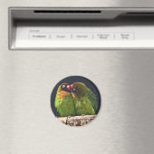 Lovebird Kus Magner Magneet (Insitu (Vaatwasser))