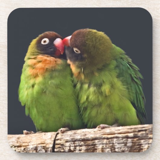 Lovebird Kus Set van 6 Onderzetters (Voorkant)