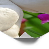 Lovebirds, twee duiven in liefde, mooie achtergron poster (Hoek)