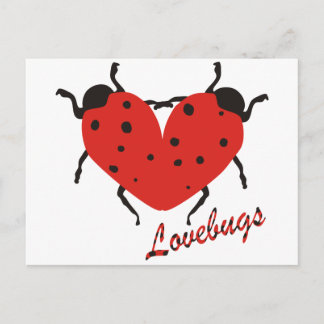 Lovebugs Briefkaart