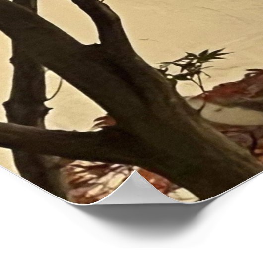 Lovedove silhouet poster (Hoek)