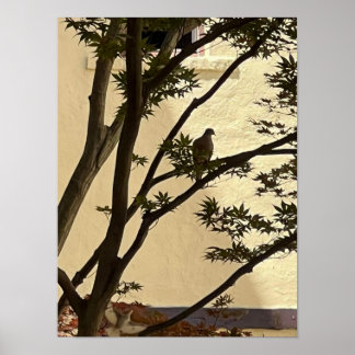 Lovedove silhouet poster