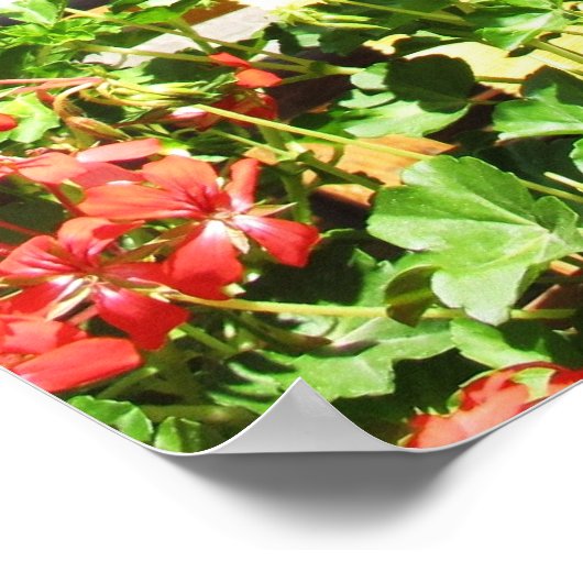 LOVELE RODE STROMEN IN POSTER MET KERAMISCHE POT (Hoek)