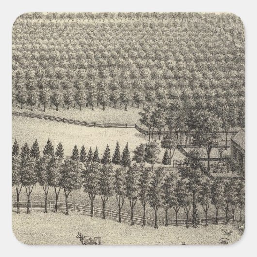 Loveless Boerderij, Nebraska Vierkante Sticker (Voorkant)