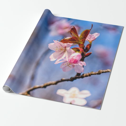 Loveliness of verse Sakura Flowers Cadeaupapier (Uitgerold)