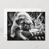 Lovely afspelen Mops Briefkaart (Voorkant / Achterkant)