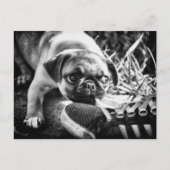 Lovely afspelen Mops Briefkaart (Voorkant)