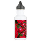 Lovely Alien Crimson Waterfles (Links)