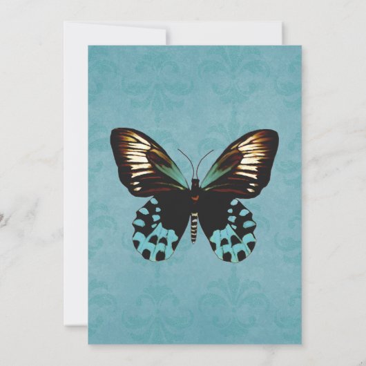 Lovely Aquamarine Butterfly Wedfly Wedding Invitat Kaart (Achterkant)