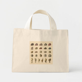 Lovely Barnacle Canvas tas