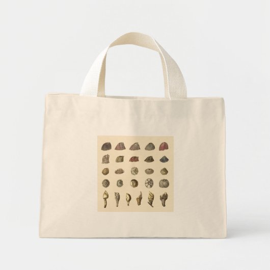 Lovely Barnacle Canvas tas (Voorkant)