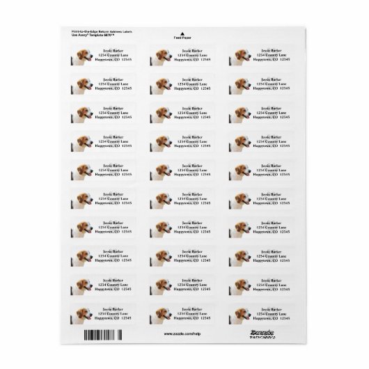 Lovely Beagle Dog Return Address Label (Full Sheet)