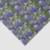 Lovely Blue Spring Bluebonnet Texas State Flower Tissuepapier (Detail)
