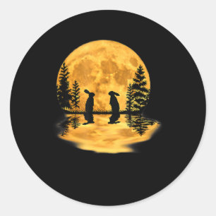 Lovely Bunny Rabbit Rabbits Moon Night Sky Ronde Sticker