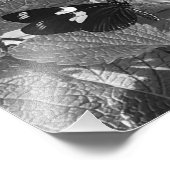Lovely Butterfly on Leaf in Black and White Foto Afdruk (Hoek)