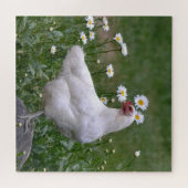 Lovely Chicken and Daisies Legpuzzel (Horizontaal)