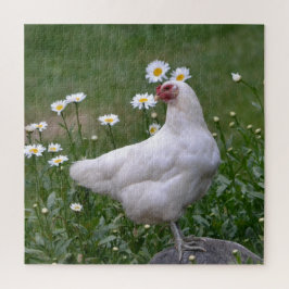 Lovely Chicken and Daisies Legpuzzel
