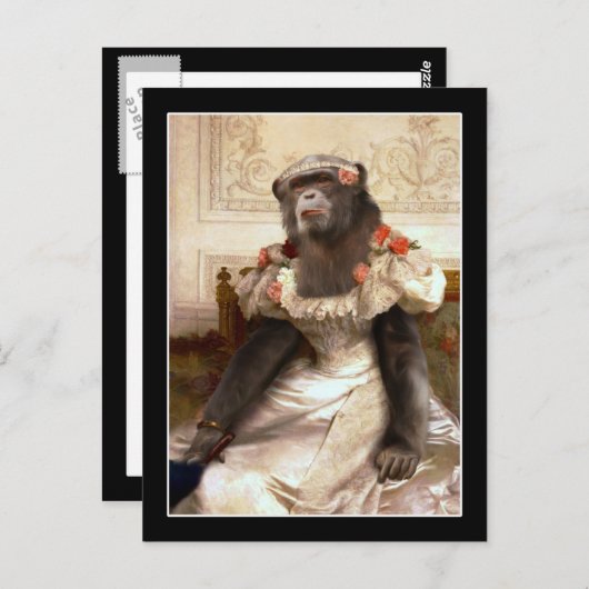 Lovely Chimp in Gown Briefkaart (Voorkant / Achterkant)