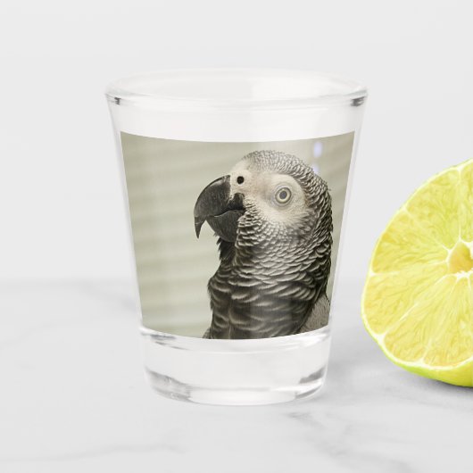 Lovely Congo African Grey Parrot Shot Glas (Voorkant)