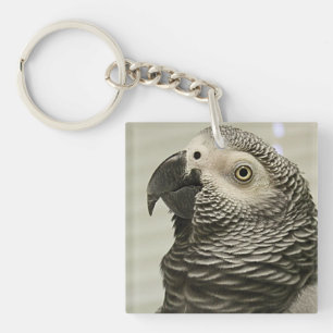 Lovely Congo African Grey Parrot Sleutelhanger