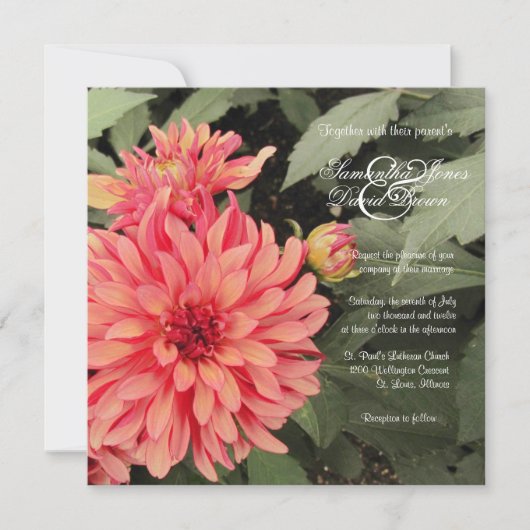 Lovely Coral Dahlia Wedding Invitation Kaart (Voorkant)