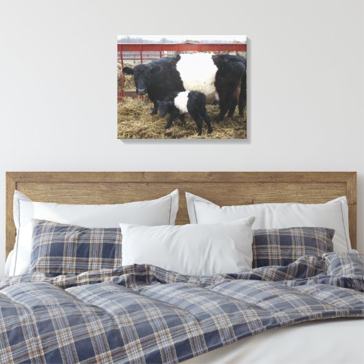 Lovely Cute Beltie Koe en Calf - Belted Galloways Canvas Afdruk (Insitu (Slaapkamer))