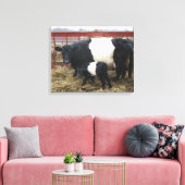 Lovely Cute Beltie Koe en Calf - Belted Galloways Canvas Afdruk (Insitu (Woonkamer))