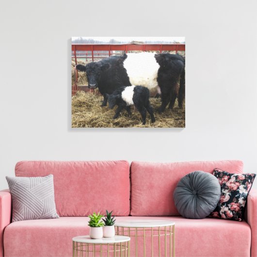 Lovely Cute Beltie Koe en Calf - Belted Galloways Canvas Afdruk (Insitu (Woonkamer))